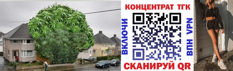 ТГК вейп  Покачи 
